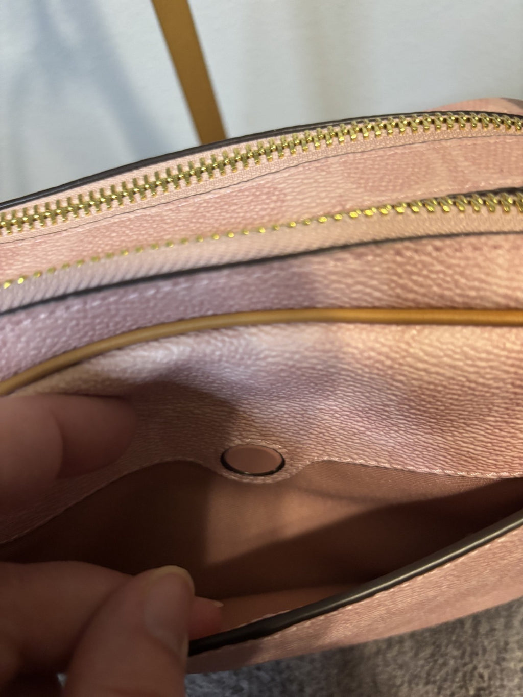 COACH POWDER PINK MINI CAREY CROSSBODY - BRAND NEW!!!